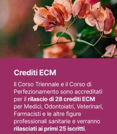 popup crediti ecm