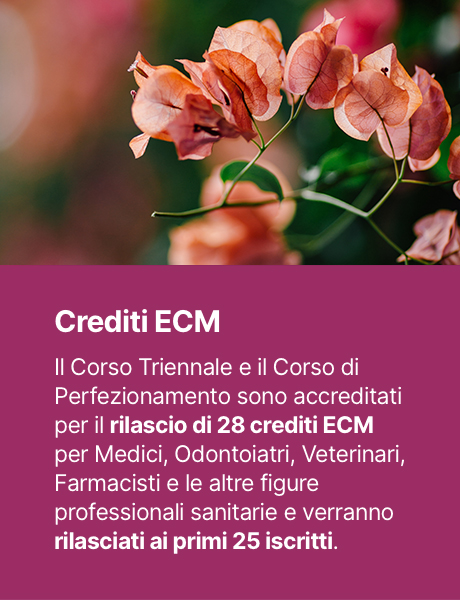 popup crediti ecm